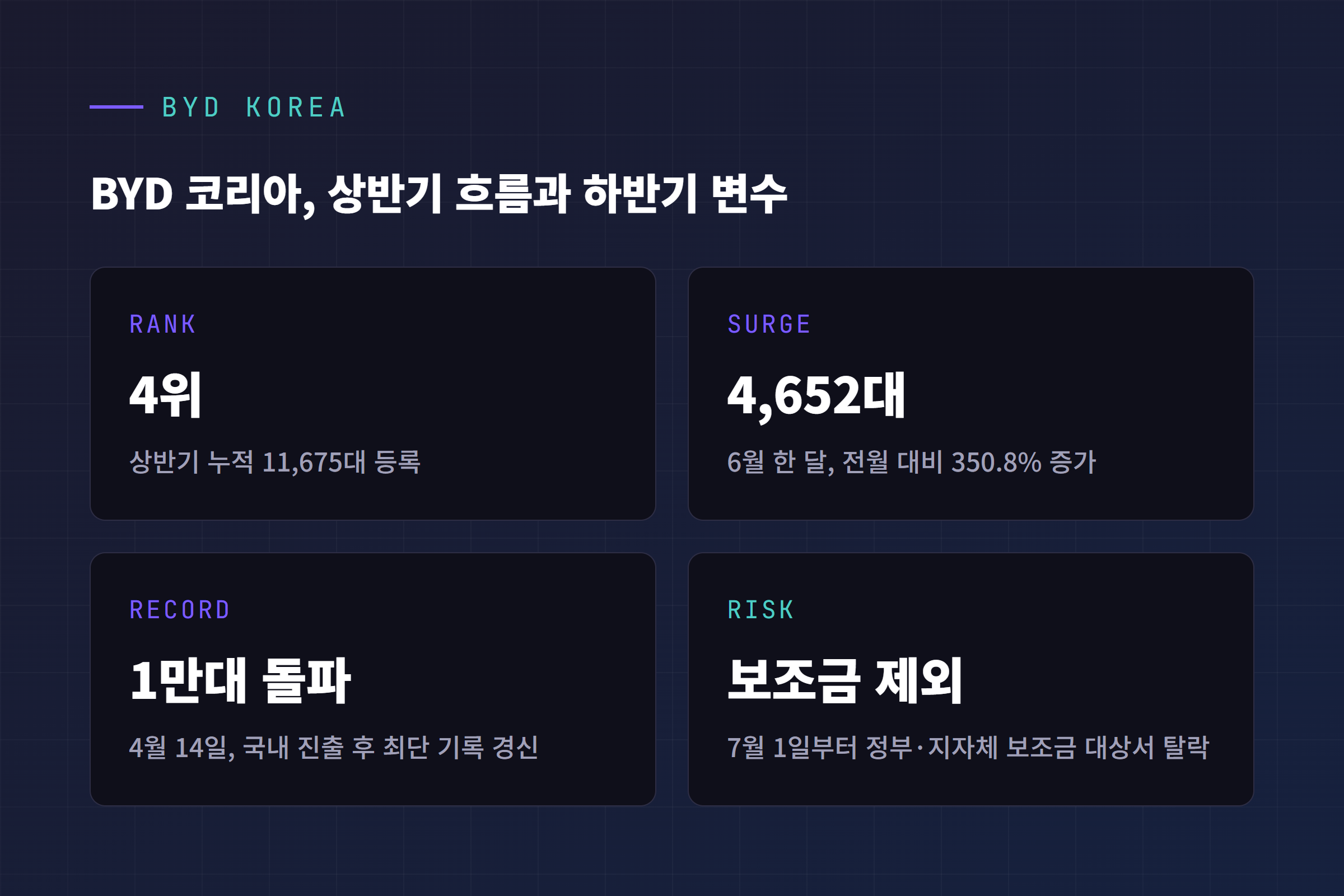BYD 코리아 상반기 월별 등록대수 추이 및 보조금 제외 이슈 요약 그래픽