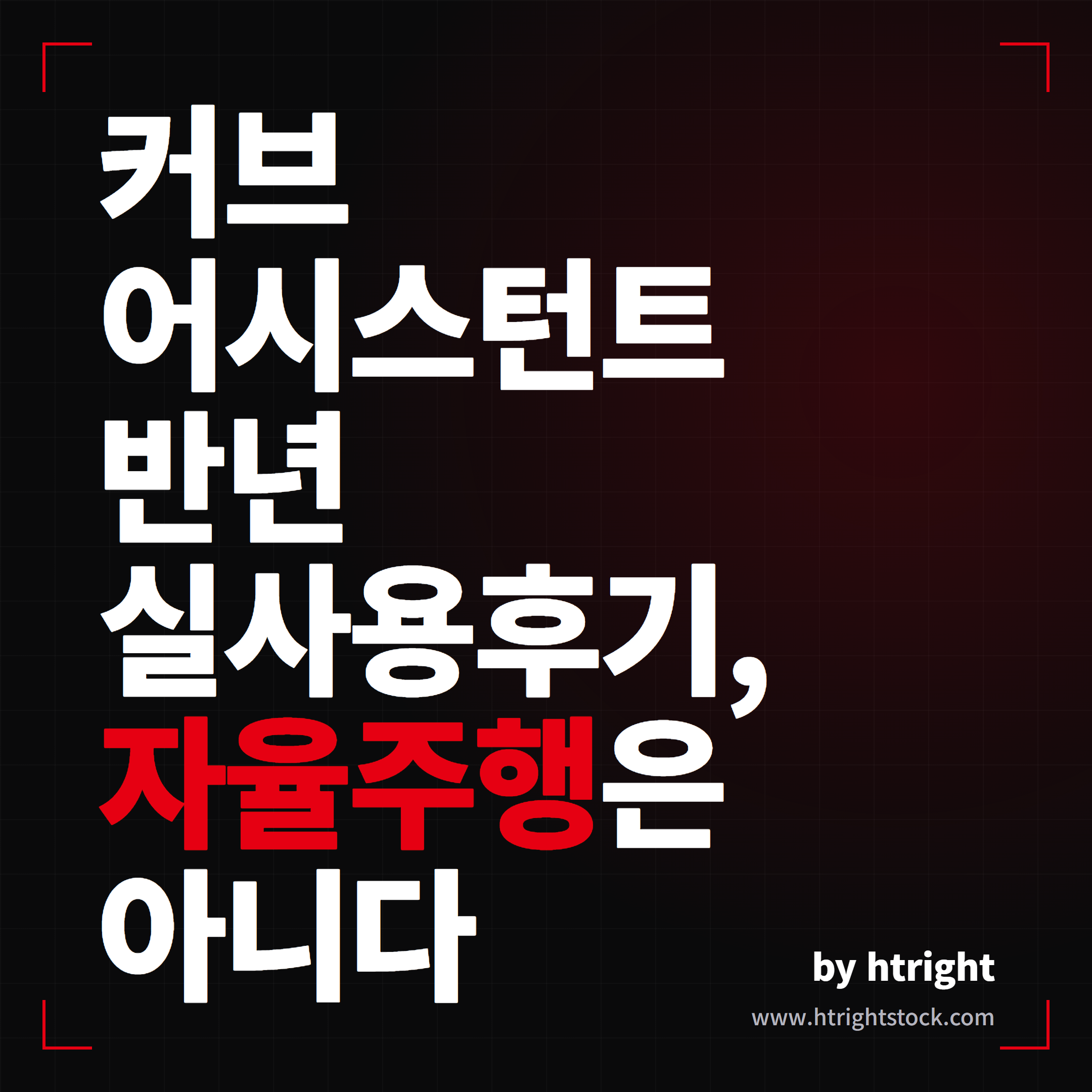테슬라 커브 어시스턴트 후기, 오토파일럿 코너링 가이드