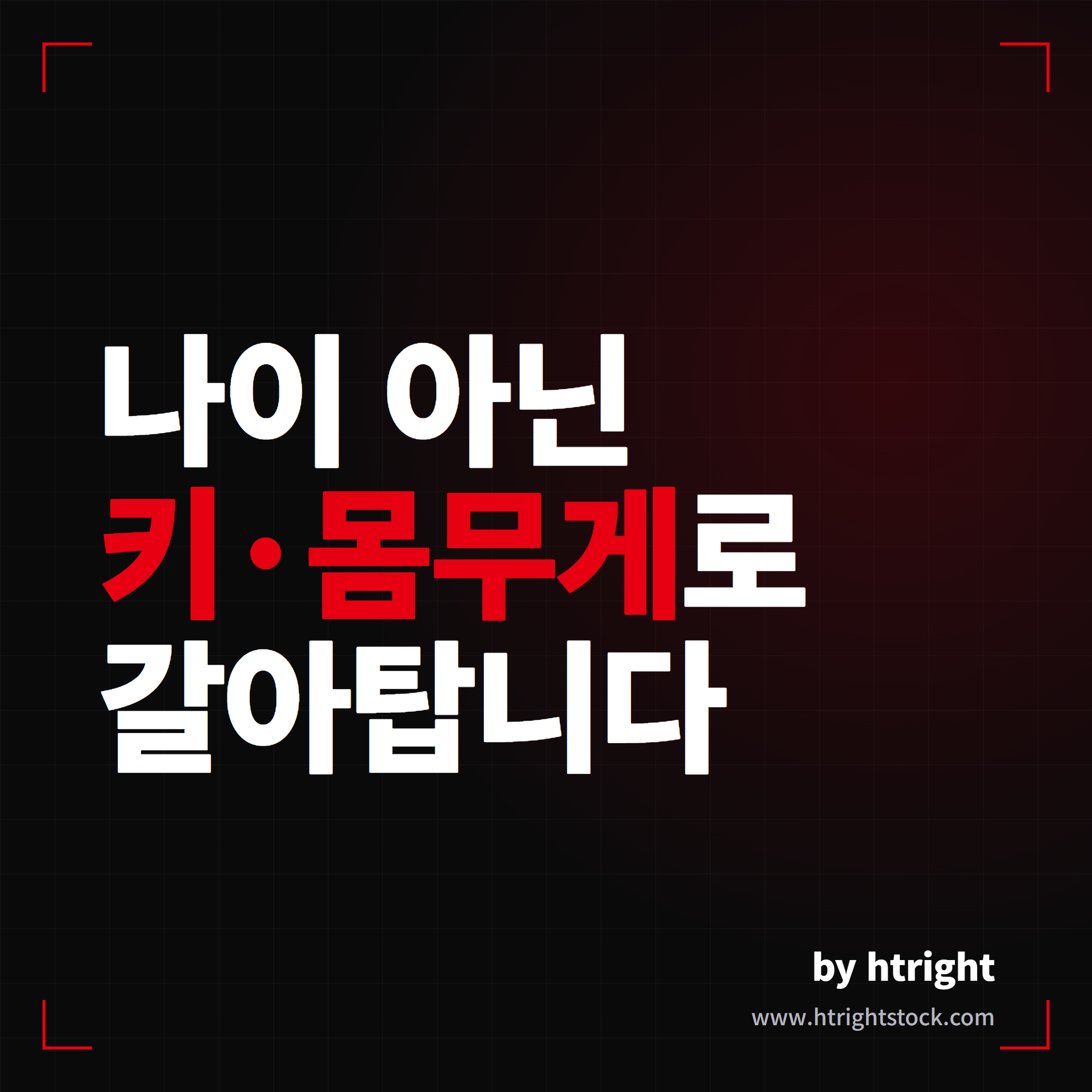카시트 나이별 종류부터 모델Y·모델Y L 2열 공간 비교까지 한 번에 정리
