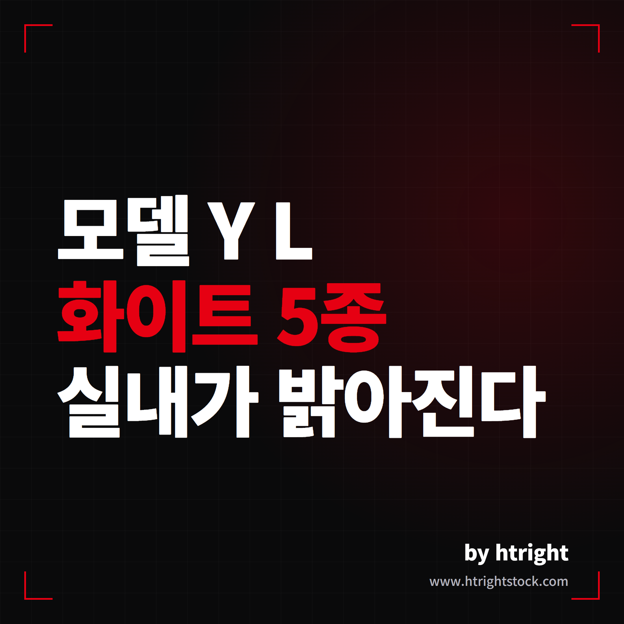모델 Y L 화이트 5종 커버 세트 후기 대표 이미지