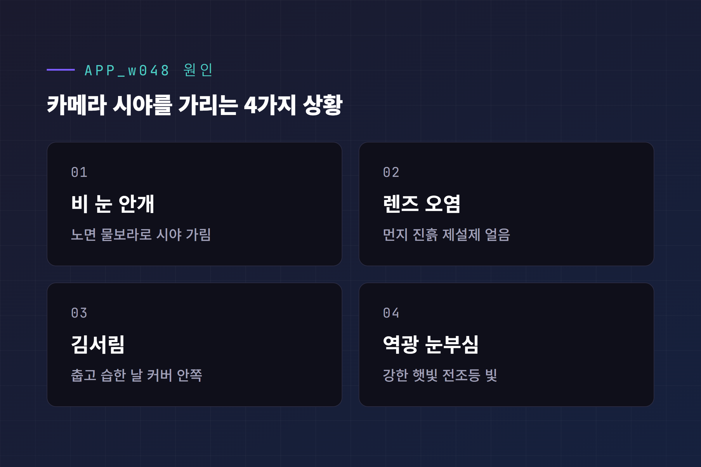 APP_w048 원인, 카메라 시야를 가리는 비 눈 안개 렌즈 오염 김서림 역광 눈부심 4가지 상황